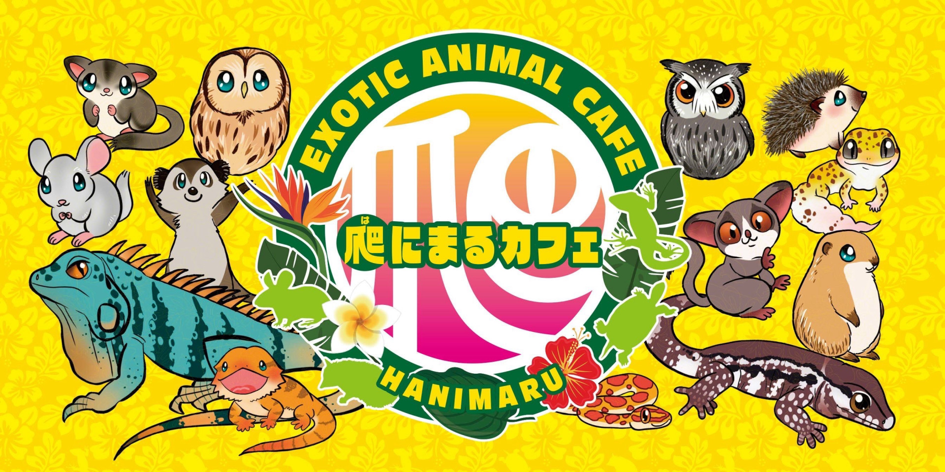 AnimalCafe 爬にまるカフェ